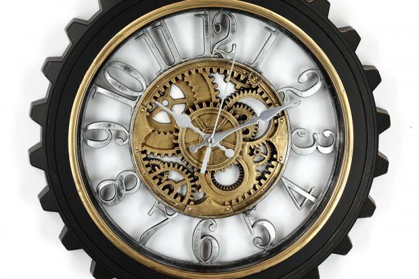 Kraken 24 top
