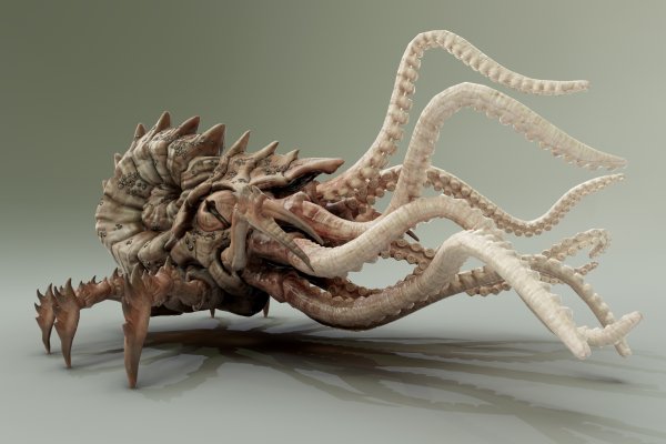 Craken
