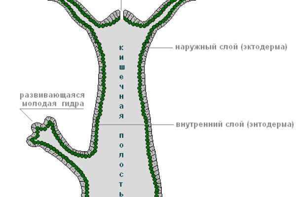 Кракен зеркало 2kraken biz