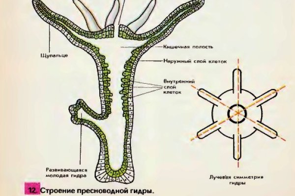 Переход на кракен